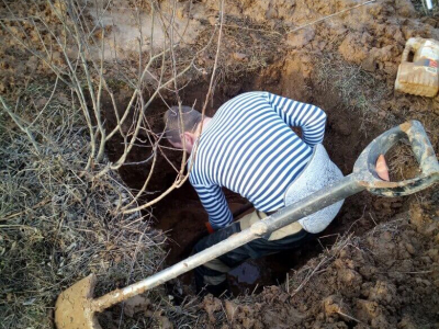 Май – июнь 2017 г., Ржевский район Тверской области