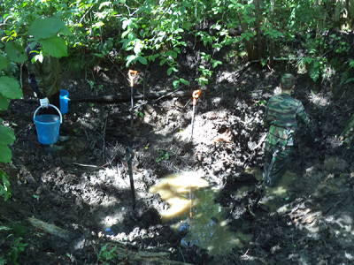 Июль-август 2015. Зубцовский район Тверской области