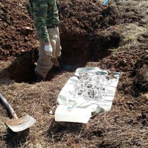 ПО «Витязь» провел поисково-разведывательный выезд в Ржевском районе