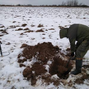Поисковый отряд «Витязь» обнаружил двух красноармейцев в Ржевском районе