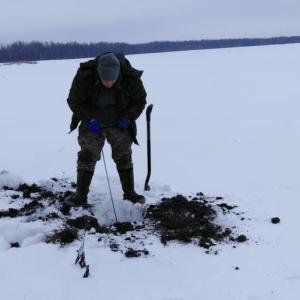 Двух неизвестных красноармейцев обнаружили поисковики отрядов «Витязь» и «Москва» в Ржевском районе