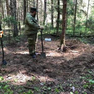 5 неизвестных красноармейцев обнаружили поисковики отряда «Витязь» в Ржевском районе