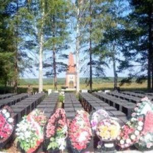 Июнь в Бельском районе