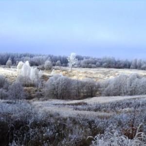Работа отряда в ноябре
