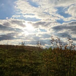 Осенняя поисковая экспедиция в Бельском районе
